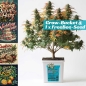 Preview: Grow Bucket super Soil mineralic